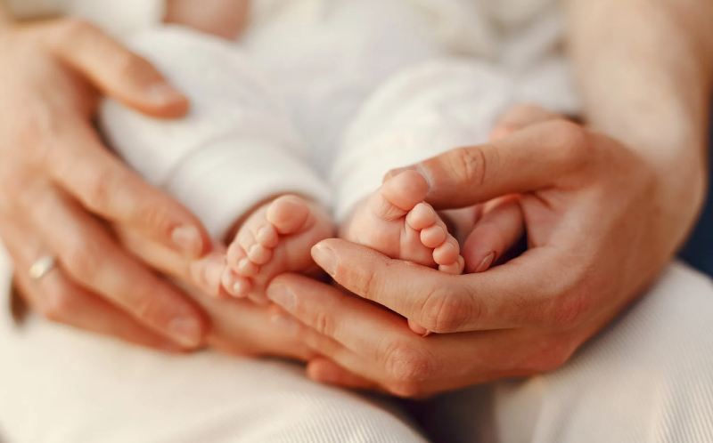 Crafting a Flourishing Legacy 