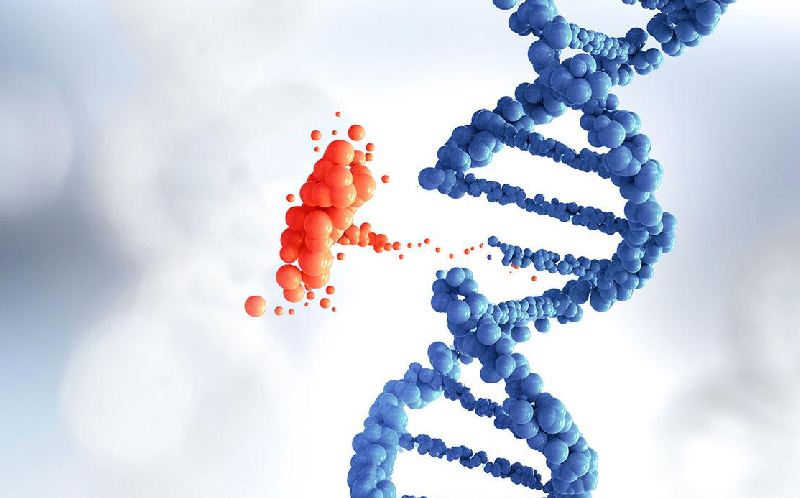 Genetic Disorders and Male Fertility